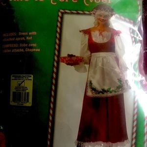 🌟SALE🌟Mrs Clause costume size medium